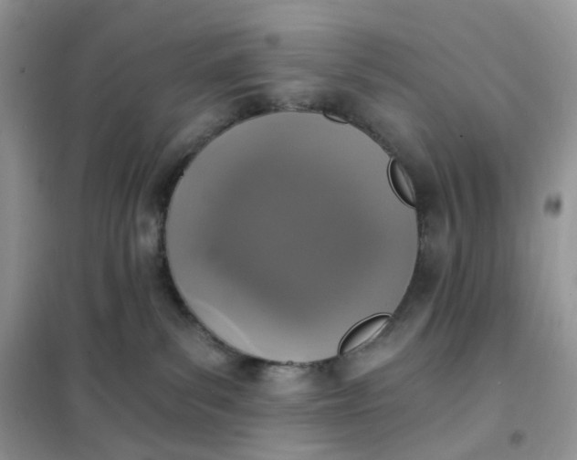 X0000102040139200808011519