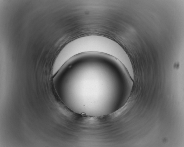 X0000102040140200808011519