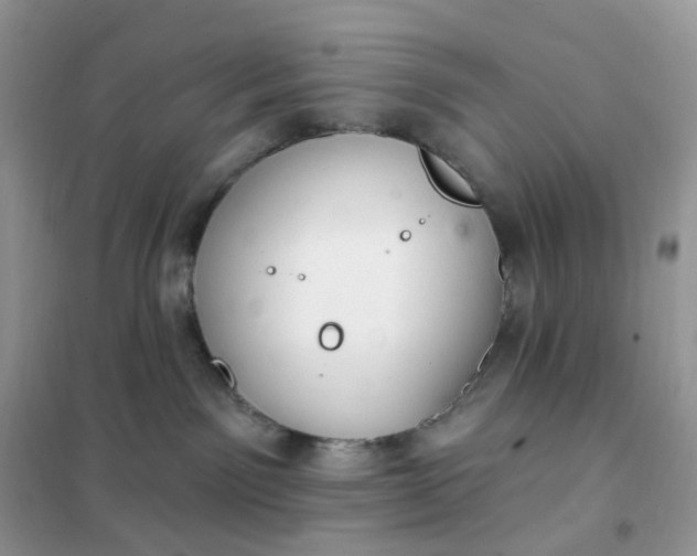 X0000102040141200808011519