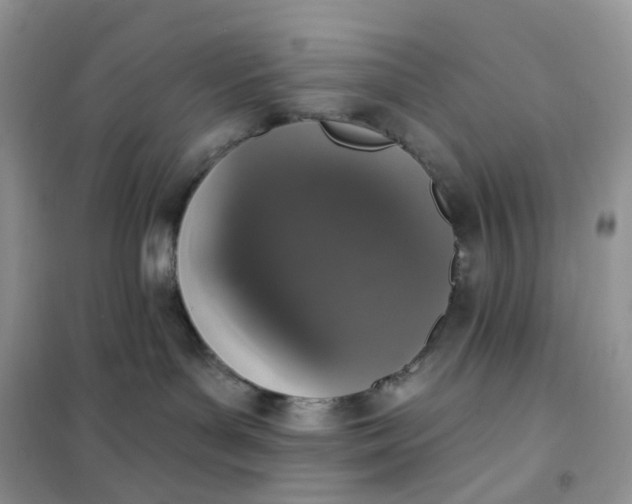 X0000102040143200808011519