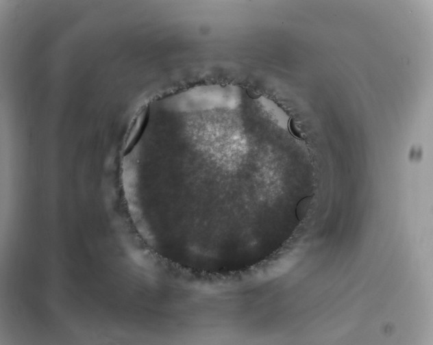 X0000102040144200808011519