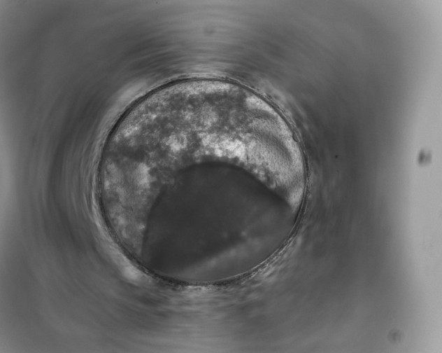 X0000102040145200808011518