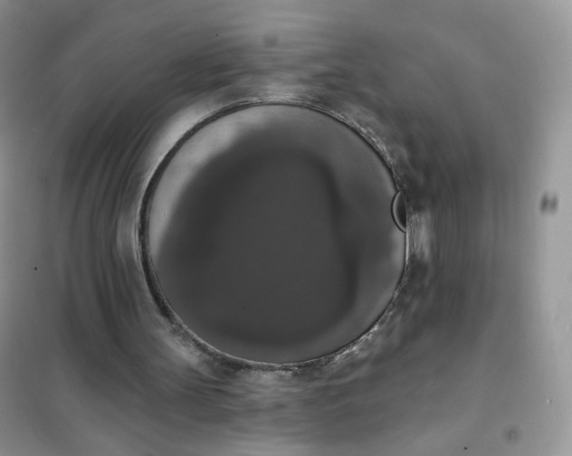 X0000102040147200808011518