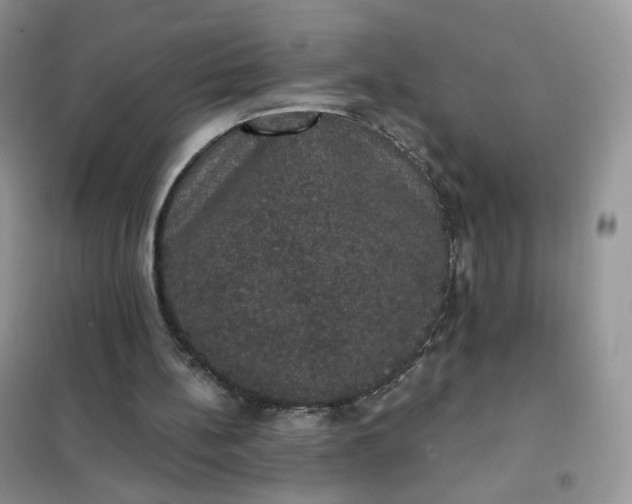 X0000102040148200808011518