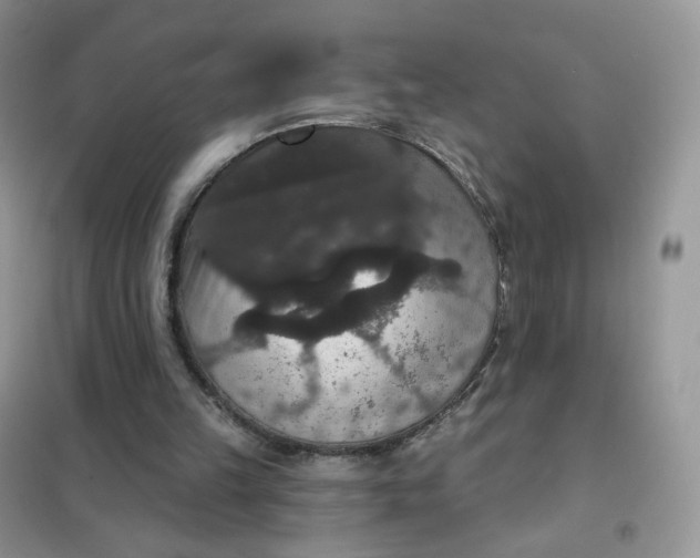 X0000102040149200808011518