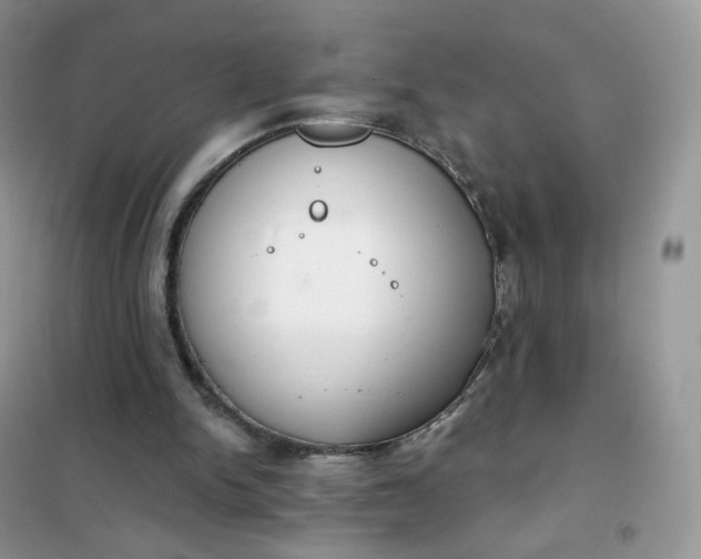 X0000102040150200808011519