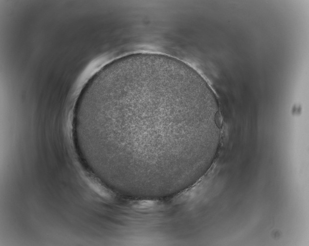 X0000102040151200808011519