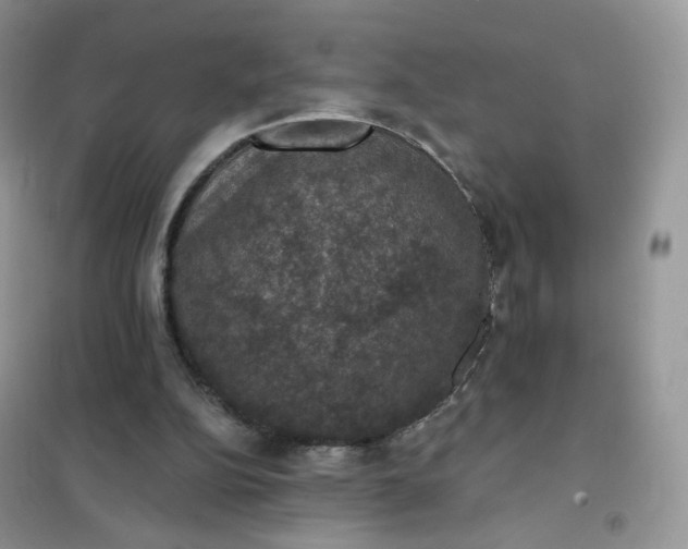 X0000102040152200808011519