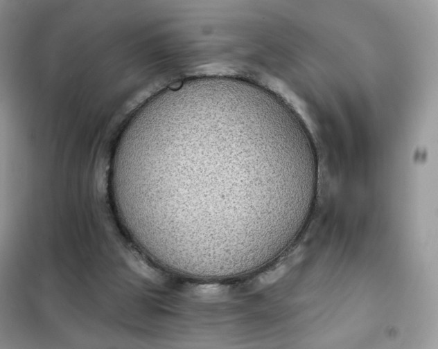 X0000102040153200808011519