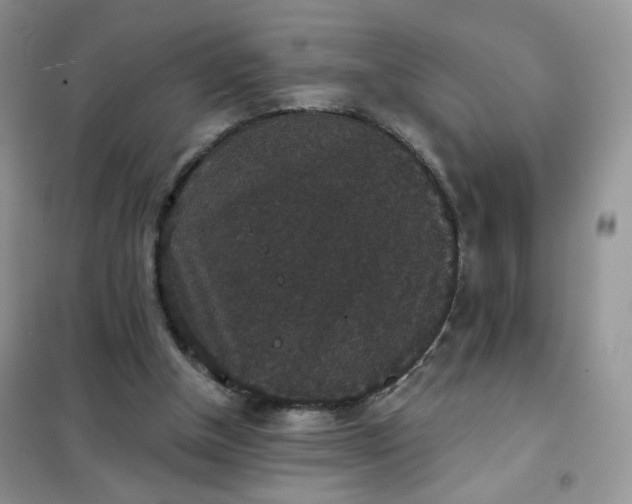 X0000102040154200808011519