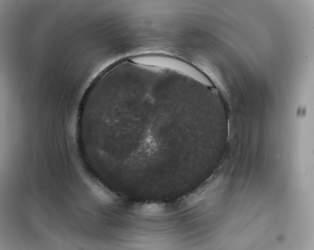 X0000102040156200808011519