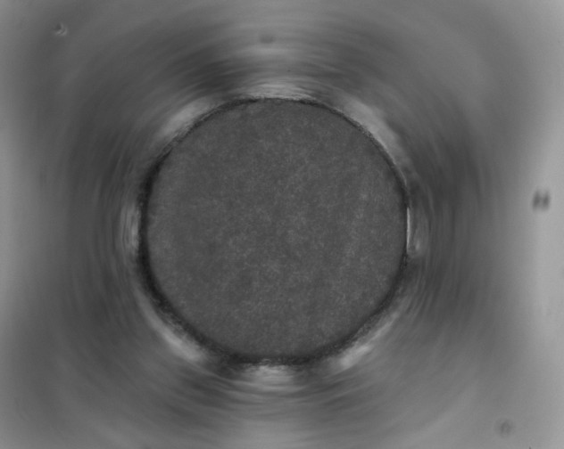 X0000102040157200808011519