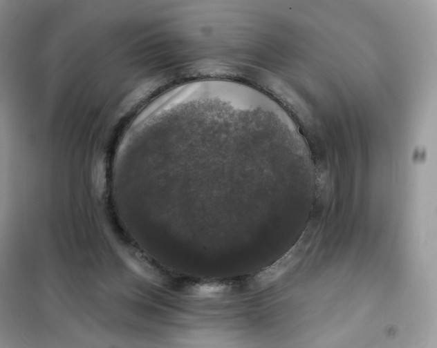 X0000102040158200808011519