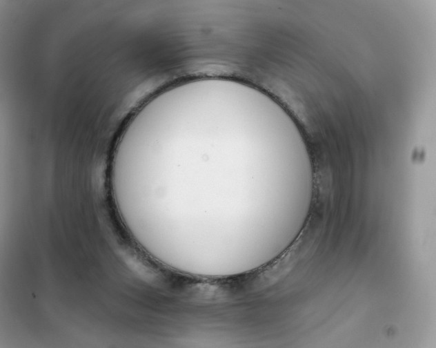 X0000102040159200808011519