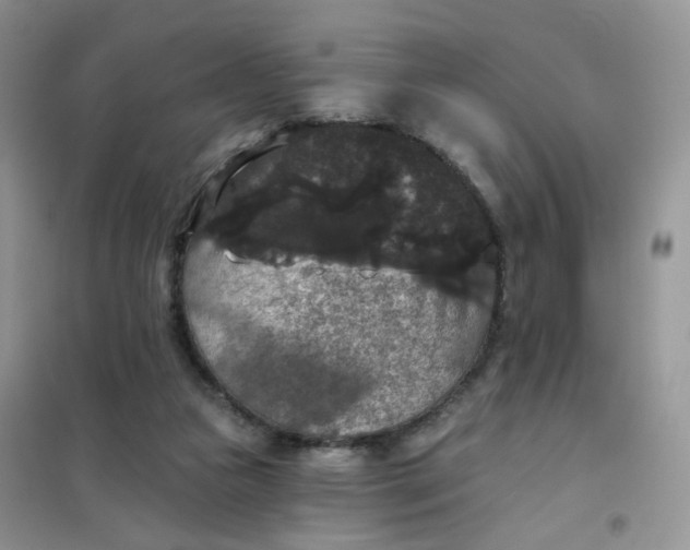 X0000102040161200808011519