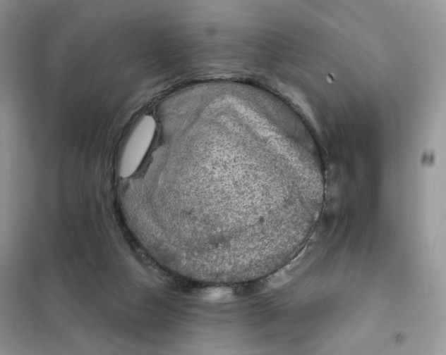 X0000102040162200808011519