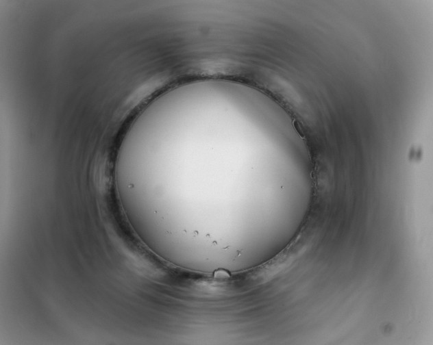 X0000102040164200808011519