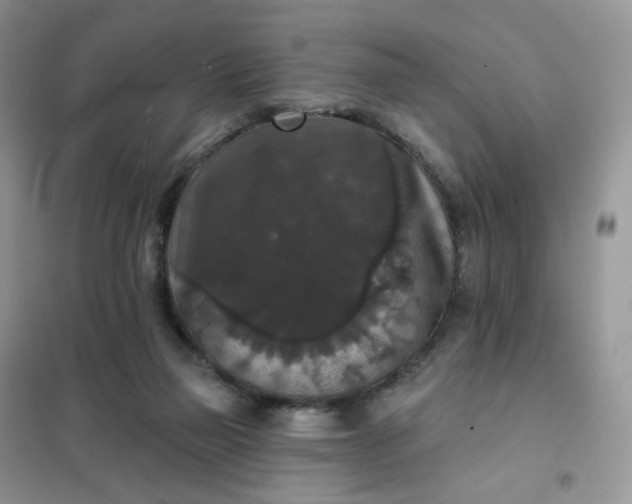 X0000102040165200808011519