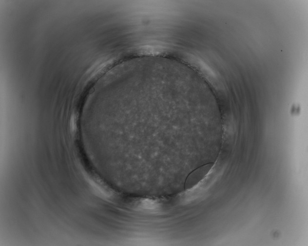 X0000102040166200808011519