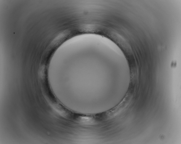 X0000102040167200808011519