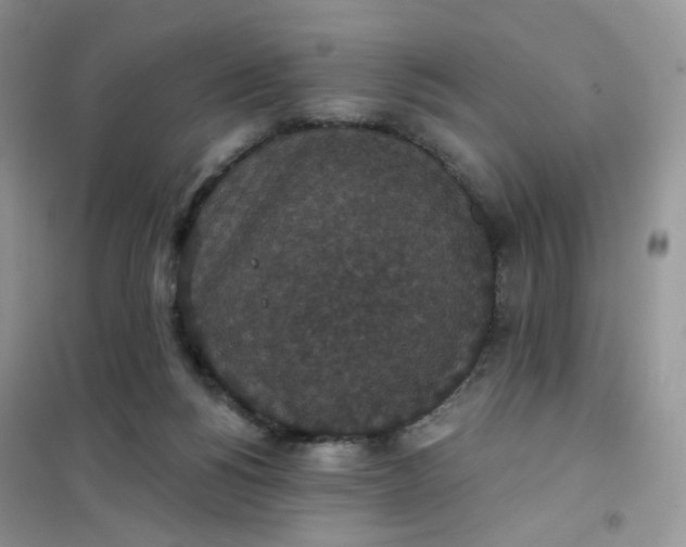 X0000102040168200808011519