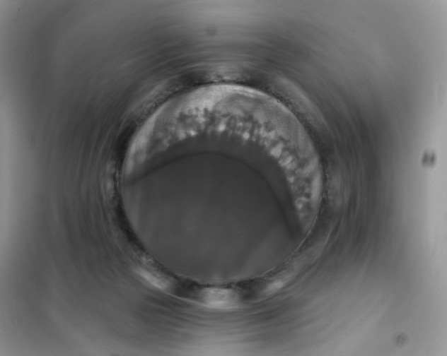 X0000102040169200808011519