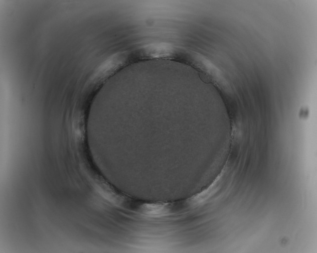 X0000102040170200808011519