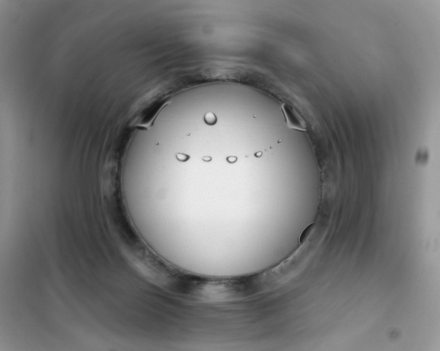 X0000102040171200808011519