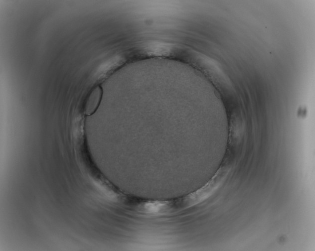 X0000102040172200808011519