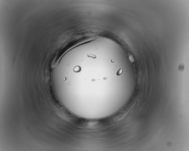 X0000102040173200808011519