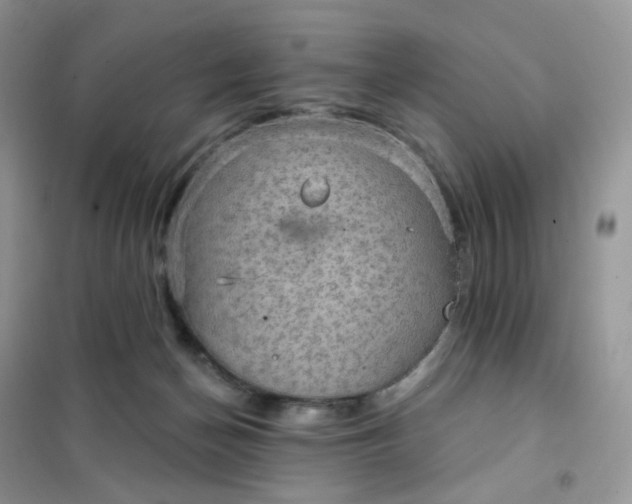 X0000102040174200808011519