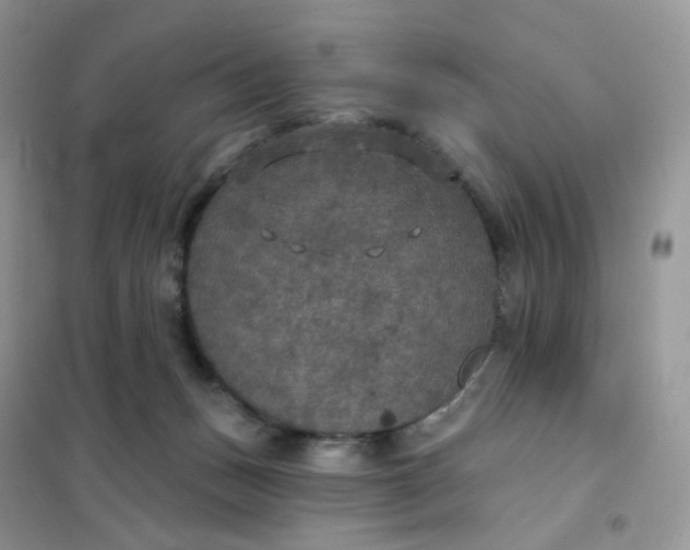 X0000102040175200808011519