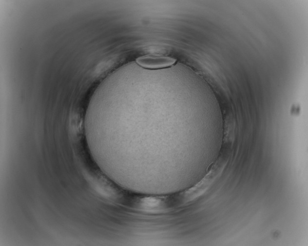 X0000102040176200808011519