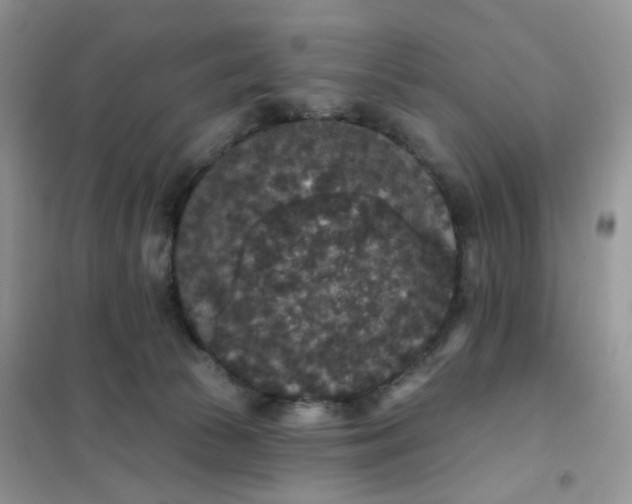 X0000102040177200808011519