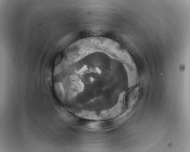 X0000102040178200808011519