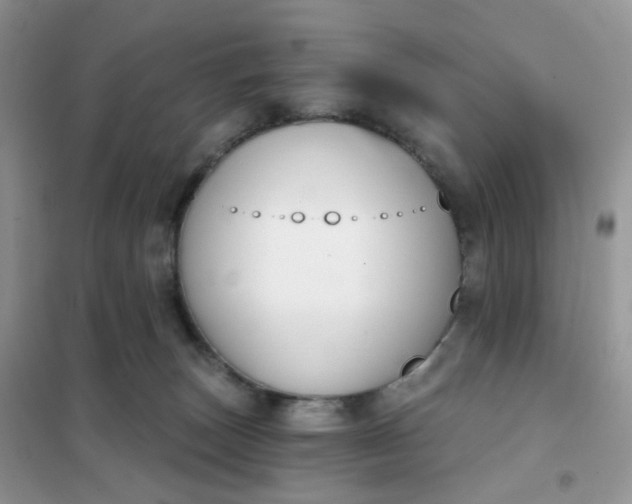 X0000102040179200808011519