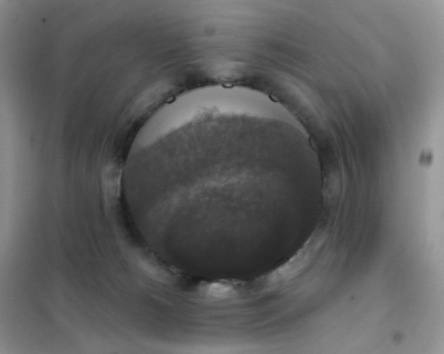 X0000102040180200808011519