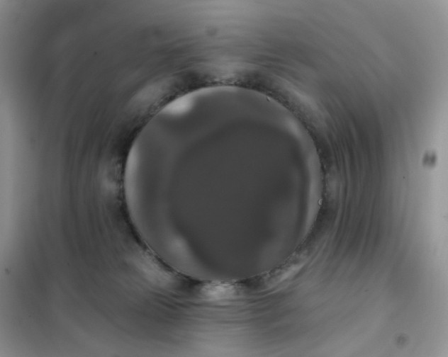 X0000102040181200808011519