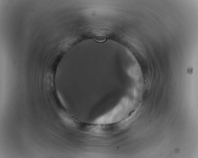 X0000102040182200808011519