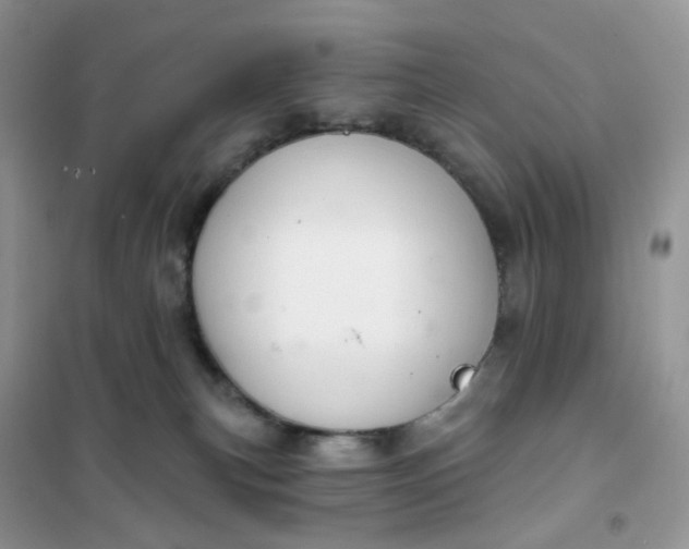 X0000102040183200808011519