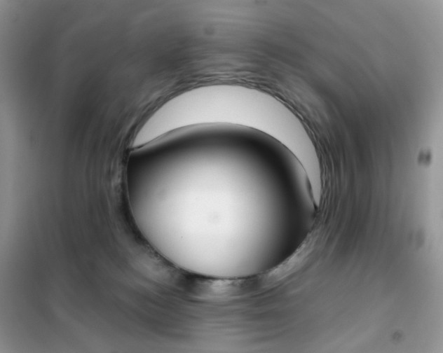 X0000102040184200808011519