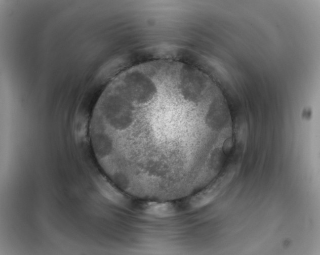 X0000102040185200808011519