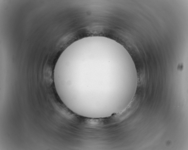 X0000102040187200808011519