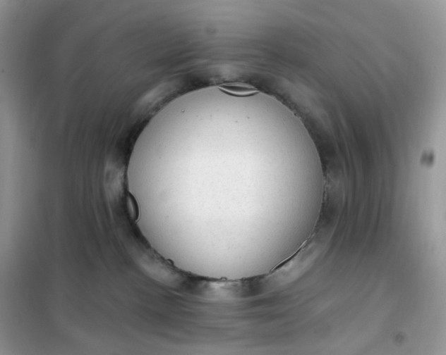 X0000102040188200808011519