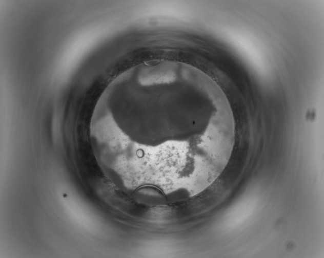 X0000102040189200808011519