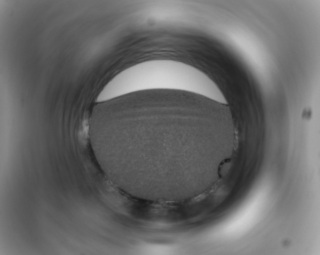 X0000102040190200808011519