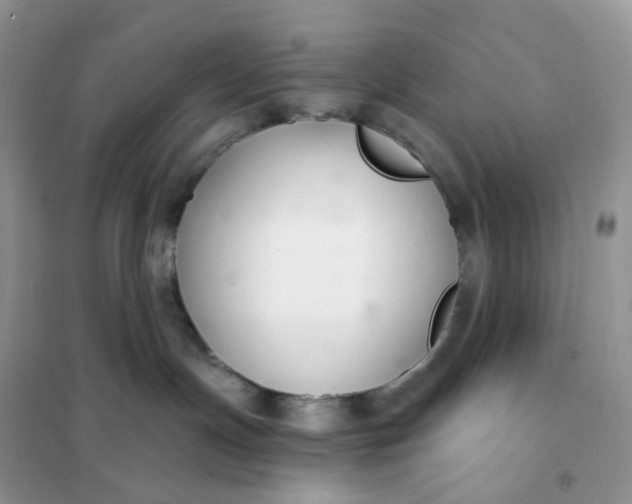 X0000102040191200808011519