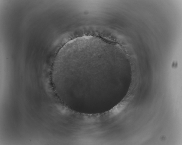 X0000102040192200808011519