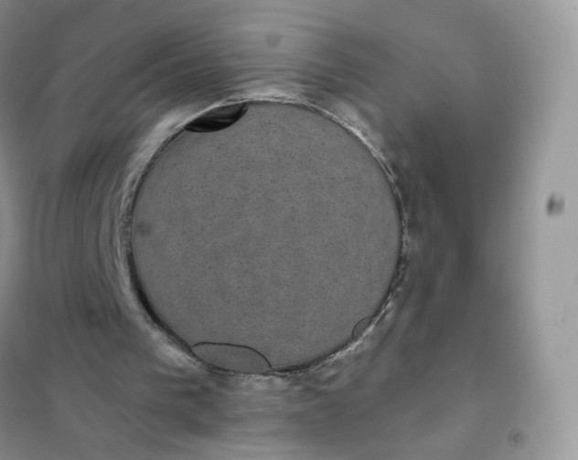 X0000102040193200808011518