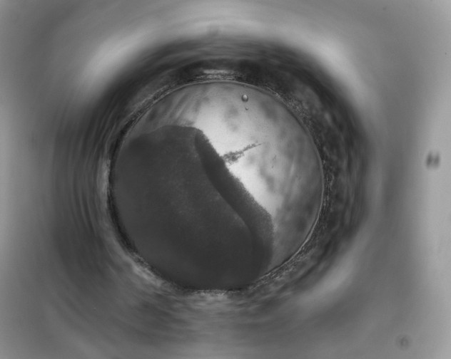 X0000102040194200808011518